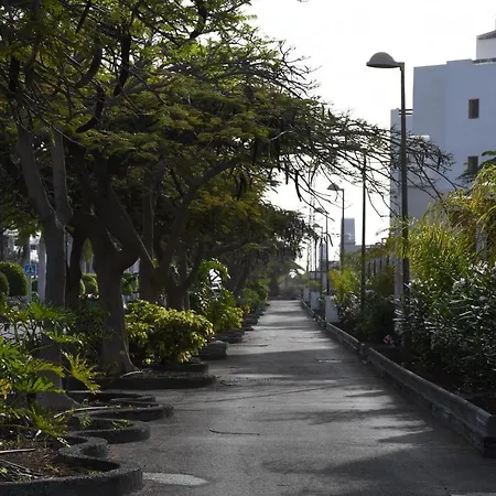 Bentor 3-1 Penthouse Jacuzzi Pool View 3b Palm-mar